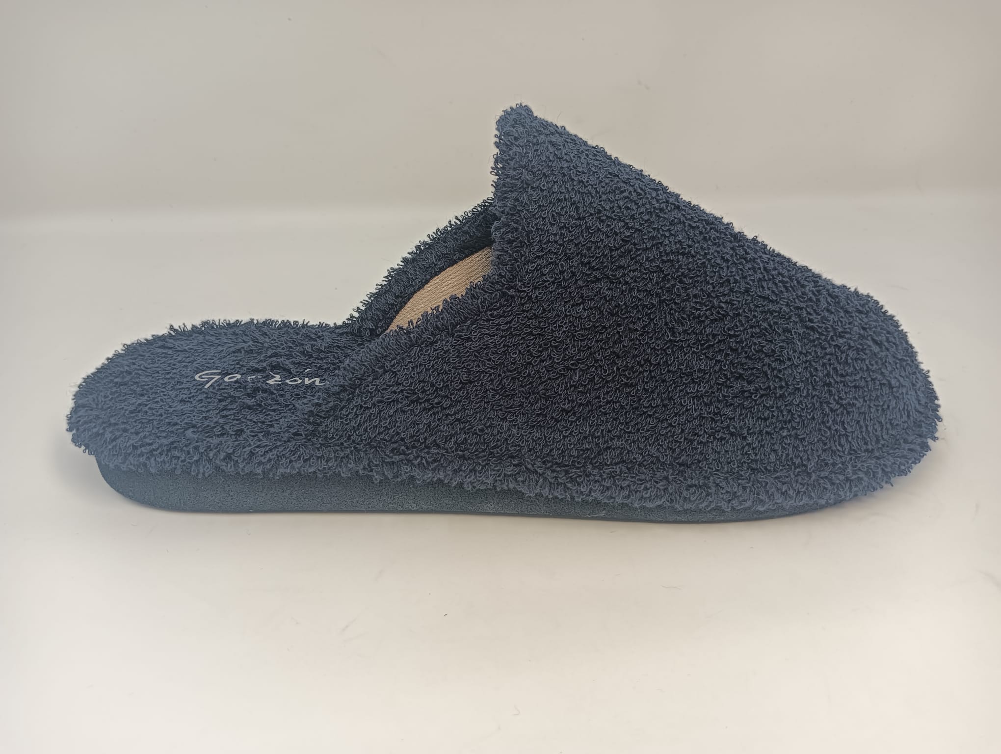 P300.jpg